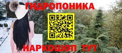 PSILOCYBIN Будённовск