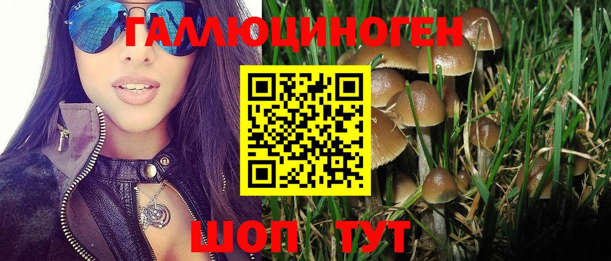 Псилоцибиновые грибы ЛСД Рузаевка